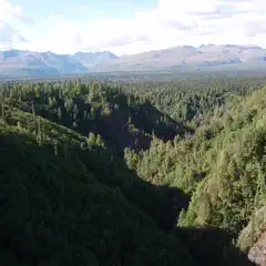 A valley filled with trees and surrounded by mountains under a partly cloudy sky.