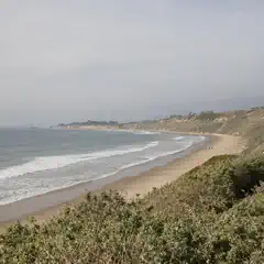 A coastal landscape features a sandy beach, gentle waves, and a bluff covered in vegetation under a hazy sky.
