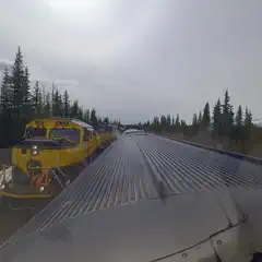 A yellow locomotive faces a line of dark rail cars under a cloudy sky, with trees lining both sides of the tracks.