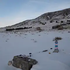 A small, makeshift grave marker set into snow-covered ground against a backdrop of barren trees and distant mountains.