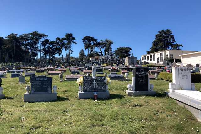 A cemetery with numerous headstones, some adorned with flowers, set against a backdrop of trees and a clear sky.