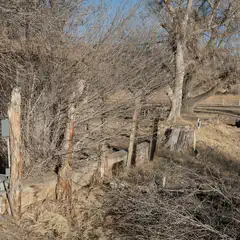 An old wooden fence, leaning and weathered, with bare branches behind it, set against a clear sky.