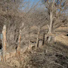 An old wooden fence, leaning and weathered, with bare branches behind it, set against a clear sky.