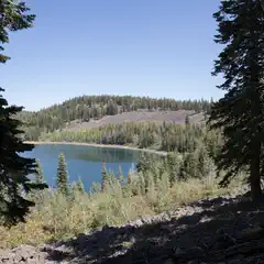 A lake surrounded by evergreen trees and rocky terrain.