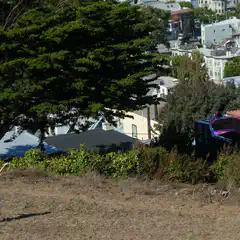 A boy is running across a hillside, holding a kite string in his right hand.