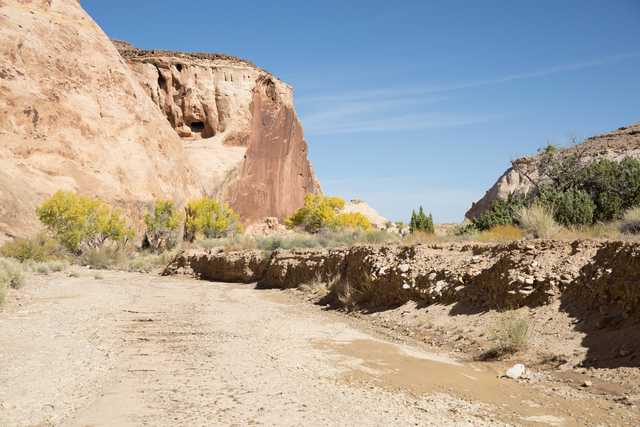 A large sandstone cliff rises behind a dry riverbed lined with yellow-green shrubs and trees.