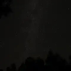 A bright streak of light crosses over an expanse of dark sky filled with stars, above silhouetted trees.