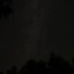 A bright streak of light crosses over an expanse of dark sky filled with stars, above silhouetted trees.