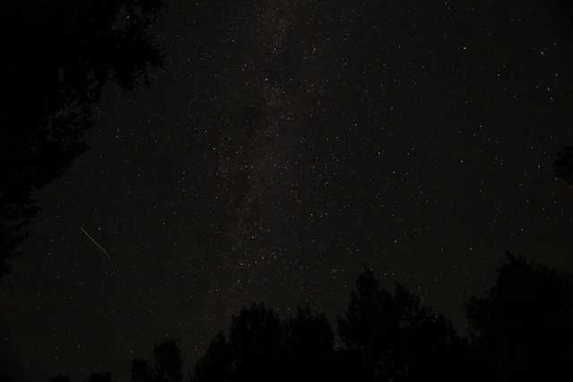 A bright streak of light crosses over an expanse of dark sky filled with stars, above silhouetted trees.