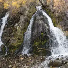 A rocky cliff face has multiple waterfalls cascading down it into a stream bed of stones and fallen leaves.