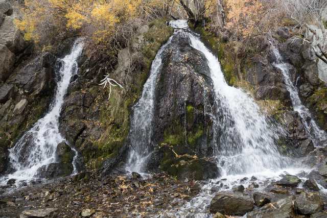 A rocky cliff face has multiple waterfalls cascading down it into a stream bed of stones and fallen leaves.