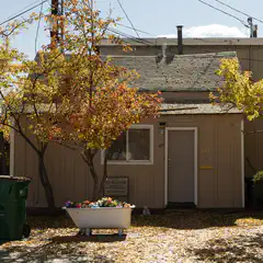 A small, brown building with a gray roof stands amidst trees and a bathtub filled with flowers in front of it.