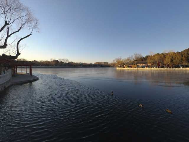 A large lake is surrounded by trees and a walkway with buildings along its edge.