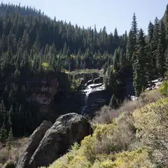 A waterfall cascades down a rocky cliff surrounded by dense evergreen trees and shrubs.