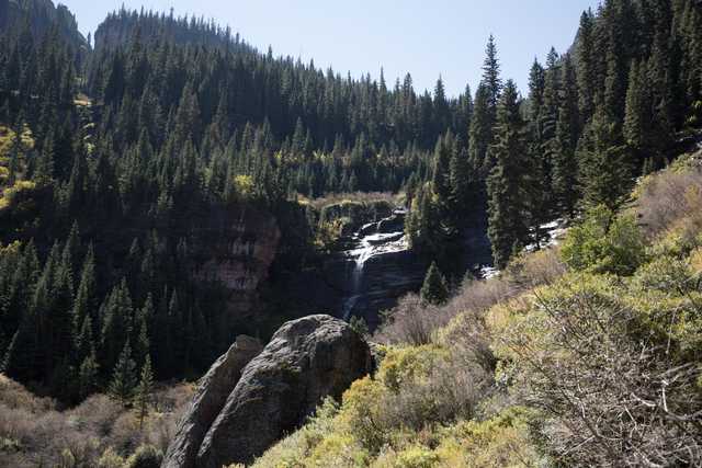 A waterfall cascades down a rocky cliff surrounded by dense evergreen trees and shrubs.