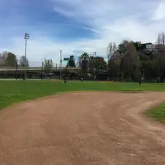 A baseball diamond occupies a grassy field with people scattered around it, and a bridge is visible in the background.