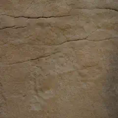 A beige rock face with prominent horizontal cracks and lines under faint petroglyphs of animals.