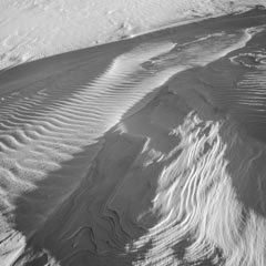 An expanse of white sand is covered with intricate patterns of ripples and ridges.