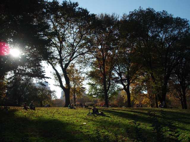 A park scene with people sitting on grass under trees, with sun shining through leaves and casting shadows on ground.