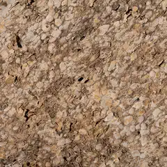 An irregularly textured surface featuring numerous small holes and varying shades of brown and white throughout.