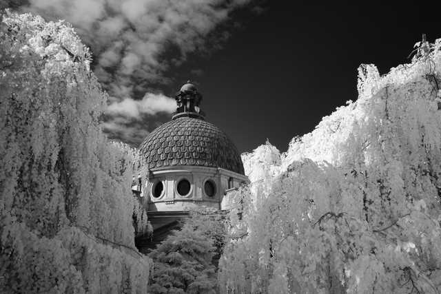 A domed building with circular windows stands between dense trees under a cloudy sky.