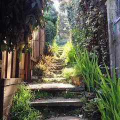 A set of stone steps leads up through a garden between two buildings.