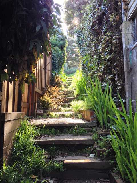 A set of stone steps leads up through a garden between two buildings.