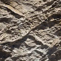 A rocky cliff face, showing layers and crevices, with sunlight casting shadows on its surface.