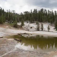 A small pool of green water is surrounded by white mineral deposits and trees on a hillside.