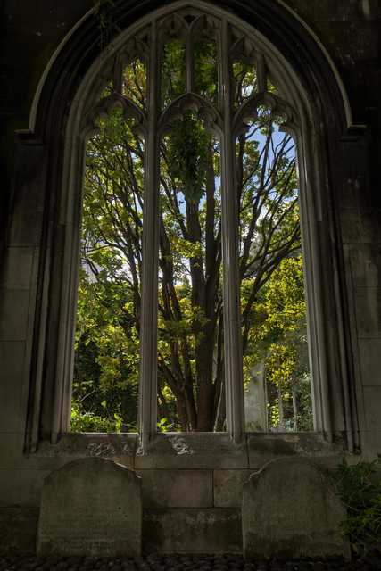A Gothic arched window frames a view of leafy trees and a bright sky, with two weathered gravestones in the foreground.