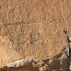 A flat sandstone surface with numerous faint petroglyphs etched into it.
