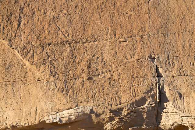 A flat sandstone surface with numerous faint petroglyphs etched into it.