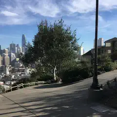 A city skyline viewed from a hill, with trees and a street lamp in the foreground.