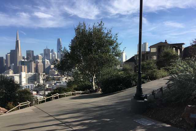 A city skyline viewed from a hill, with trees and a street lamp in the foreground.
