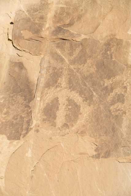 A rock surface with a circular petroglyph and other indistinct markings.