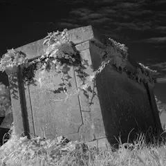 A weathered stone tomb is covered in creeping vines, surrounded by grass and other graves in a cemetery.