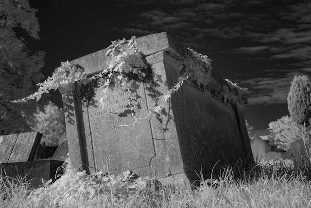 A weathered stone tomb is covered in creeping vines, surrounded by grass and other graves in a cemetery.