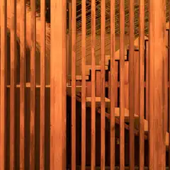 An outdoor staircase is visible through a slatted wooden fence or gate, under warm orange light.