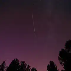 A night sky filled with stars, including a shooting star, set against silhouetted trees and a purple-hued horizon.