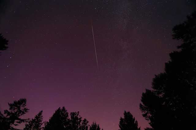 A night sky filled with stars, including a shooting star, set against silhouetted trees and a purple-hued horizon.