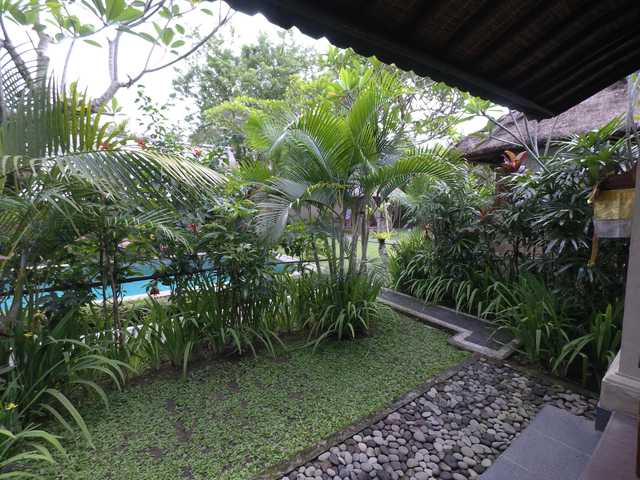 A tropical garden with palm trees and a paved path leading to a building.