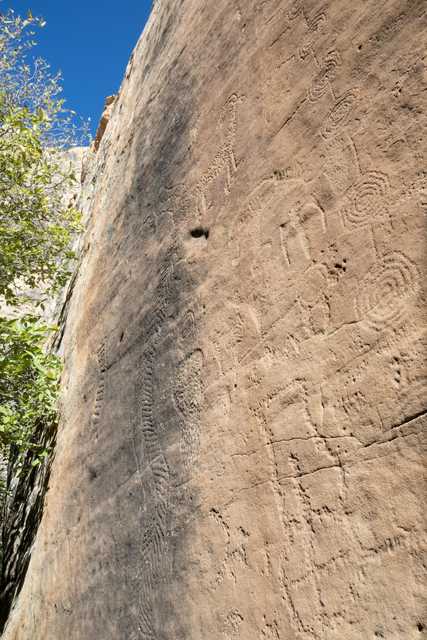 A rock face is covered with petroglyphs, including human figures and spiral designs.