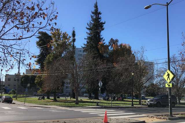 An urban street scene with a tree-lined sidewalk and a building in the background under a blue sky.