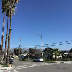 A suburban street intersection with palm trees and houses under a clear blue sky.