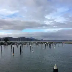A cloudy day at a marina with multiple boats docked and floating on the water.
