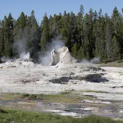 An erupting geyser emits steam into the air, surrounded by trees and rock formations.