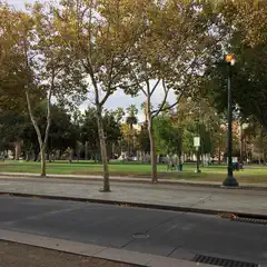 A green grassy park next to an urban street with trees and lampposts on the sidewalk.
