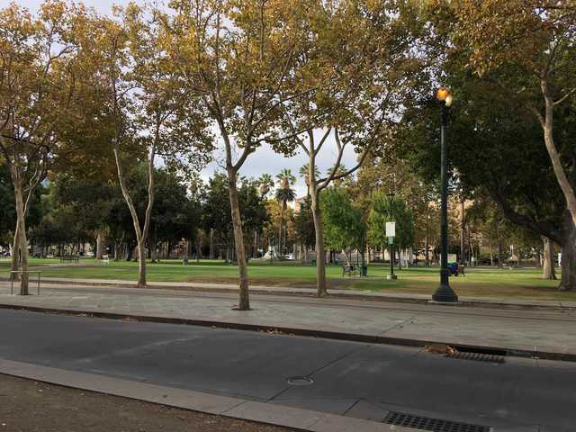 A green grassy park next to an urban street with trees and lampposts on the sidewalk.