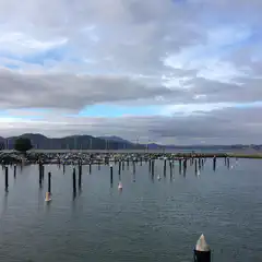 A cloudy day at a marina with multiple boats docked and floating on the water.