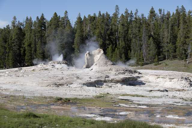 An erupting geyser emits steam into the air, surrounded by trees and rock formations.